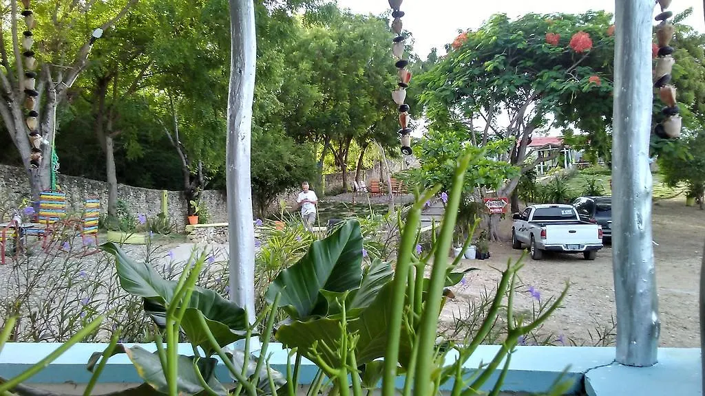 בית הארחה פונטה רוסיה Villa Alfonsina