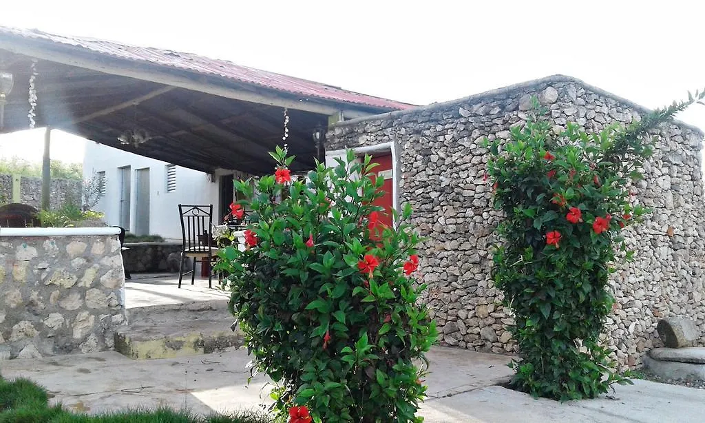 בית הארחה פונטה רוסיה Villa Alfonsina