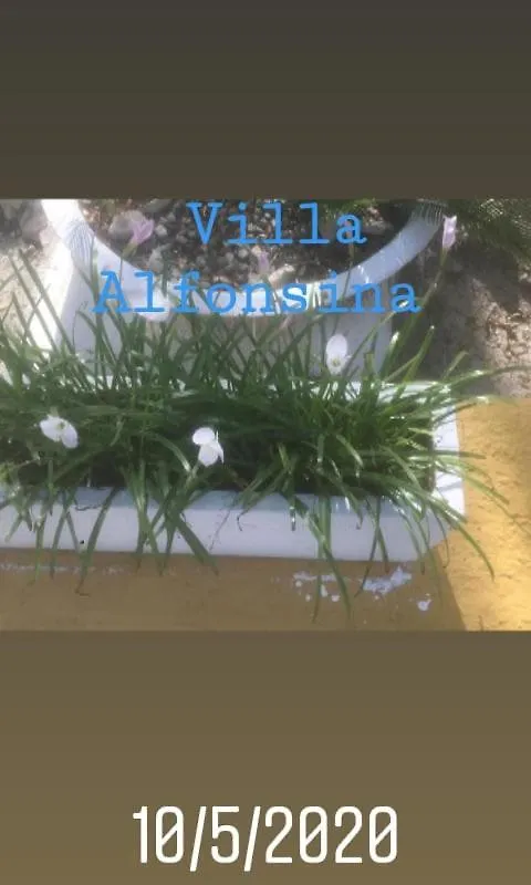 *** בית הארחה פונטה רוסיה Villa Alfonsina הרפובליקה הדומיניקנית